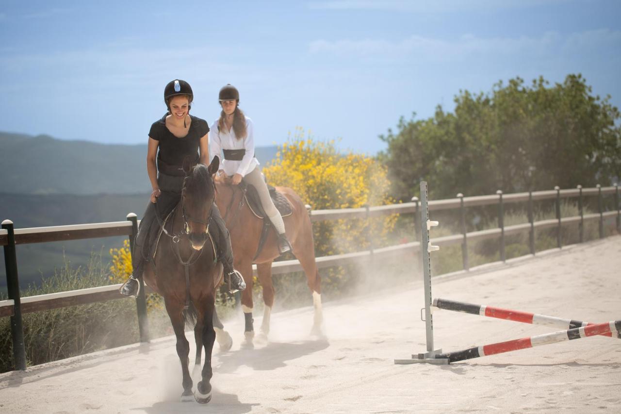 Podere Val D'Orcia - Tuscany Equestrian Villa Sarteano Esterno foto