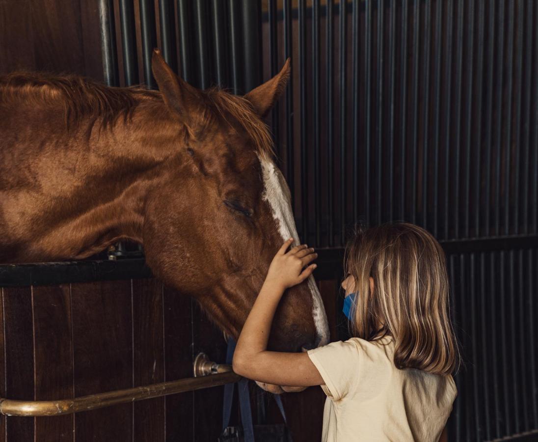 Podere Val D'Orcia - Tuscany Equestrian Villa Sarteano Esterno foto